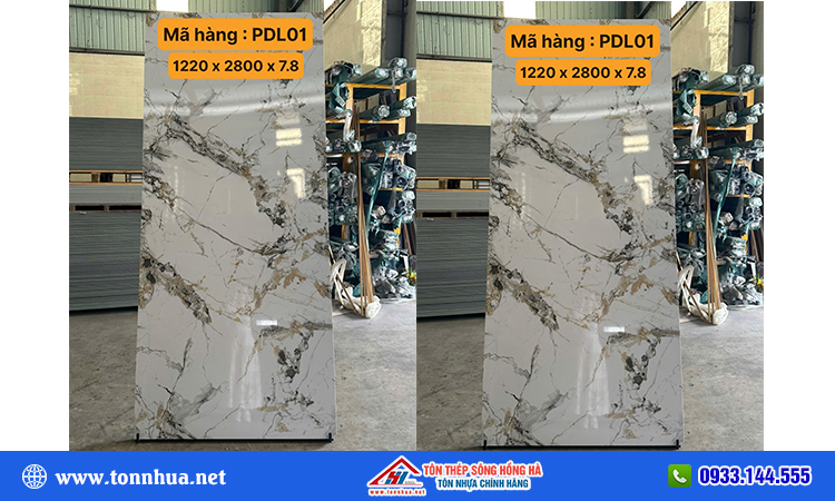 Tấm nhựa ốp tường PDL01